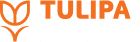 Tulipa Capital